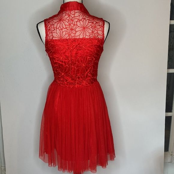 Say What? Dress Red Sleeveless Lace Stain Chiffon Fit and Flair Holiday Dress - Picture 2 of 16